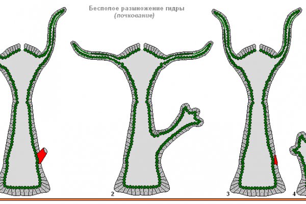 Kraken маркетплейс